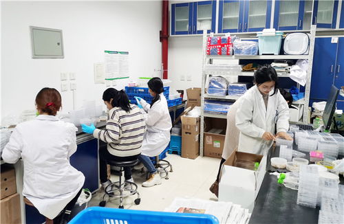 以蟲治蟲 南開創業團隊研發生物防治技術，助力鄉村振興